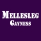 Mellesleg - Gayness