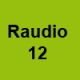 Raudio 12