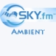 Sky.fm Ambient