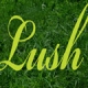 Soma FM Lush