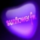 The Sunflower FM