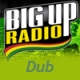 BIGUPRADIO Dub