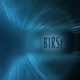 BIRSt