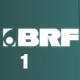 BRF1