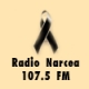 Radio Narcea 107.5 FM