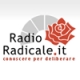Radio Radicale
