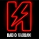 Radio Hauraki 1017 AM