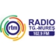 Radio Mures 102.9 FM