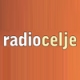 Radio Celje 95.1 FM