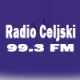 Radio Celjski 99.3 FM