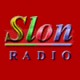 Radio Slon 89 FM